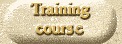 Training course and workshop